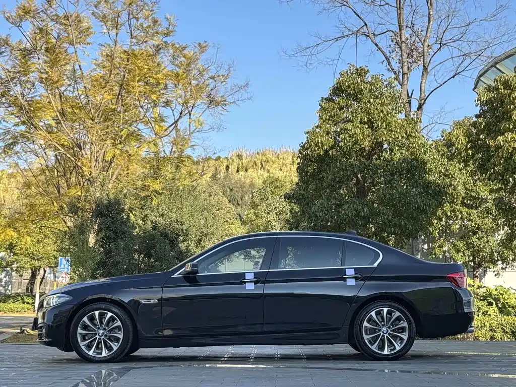 BMW BMW 5 Series 2017 525Li Leading Edition 2017 - thumbnail 10