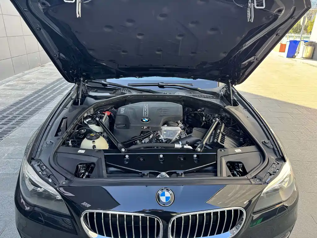 BMW BMW 5 Series 2017 525Li Leading Edition 2017 - thumbnail 30