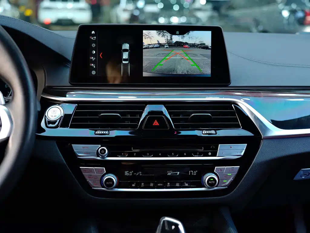 BMW BMW 5 Series 2019 530Li Leading Model M Sport Package 2019 - thumbnail 8