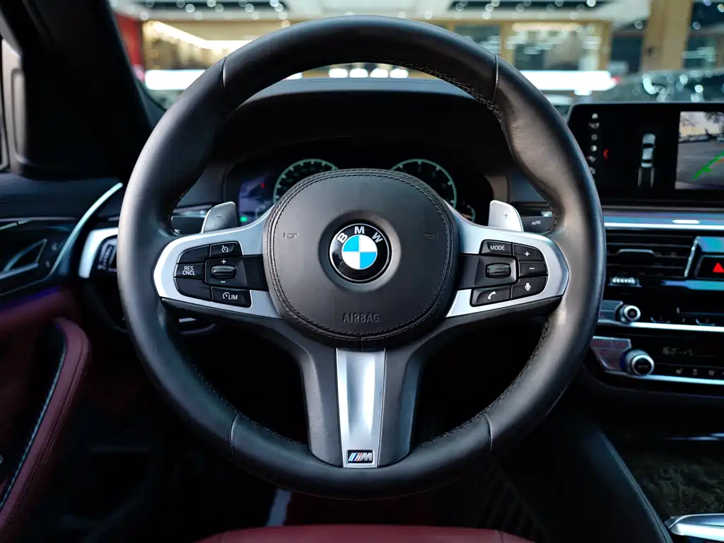 BMW BMW 5 Series 2019 530Li Leading Model M Sport Package 2019 - thumbnail 13