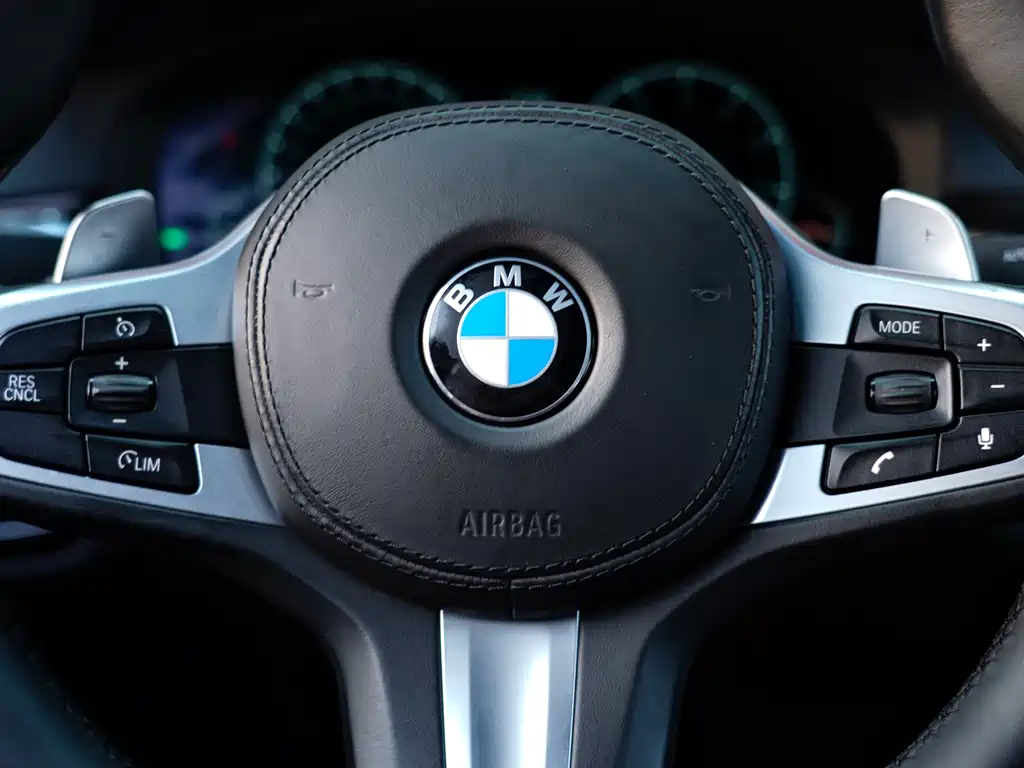 BMW BMW 5 Series 2019 530Li Leading Model M Sport Package 2019 - thumbnail 14