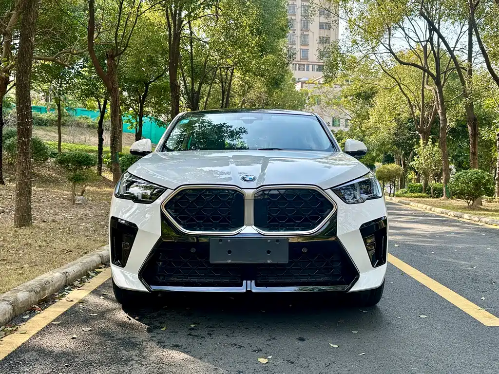 BMW BMW X2 Import 2024 sDrive25i M Sport Package 2025 - thumbnail 2