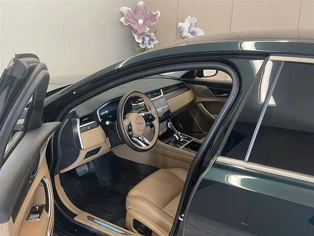 Jaguar Jaguar XFL 2023 XFL 2.0T P250 RWD Luxury Gold Edition 2023 - thumbnail 22