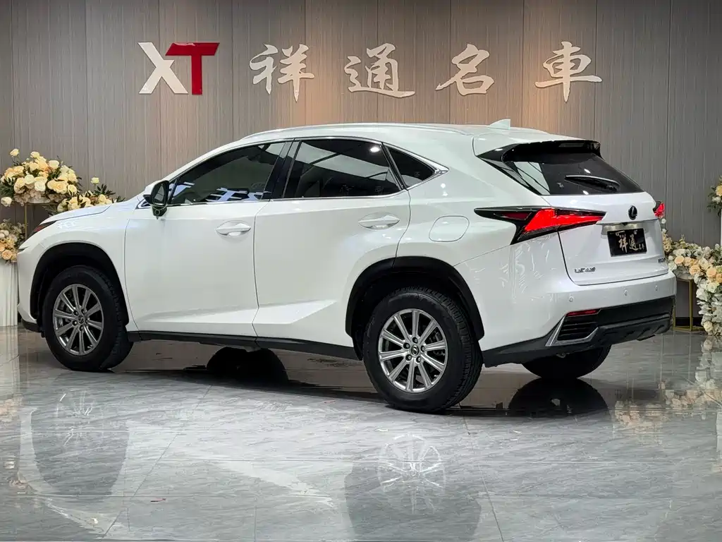 Lexus Lexus NX 200 F Sport AWD 2020 Model VI 2019 - thumbnail 8