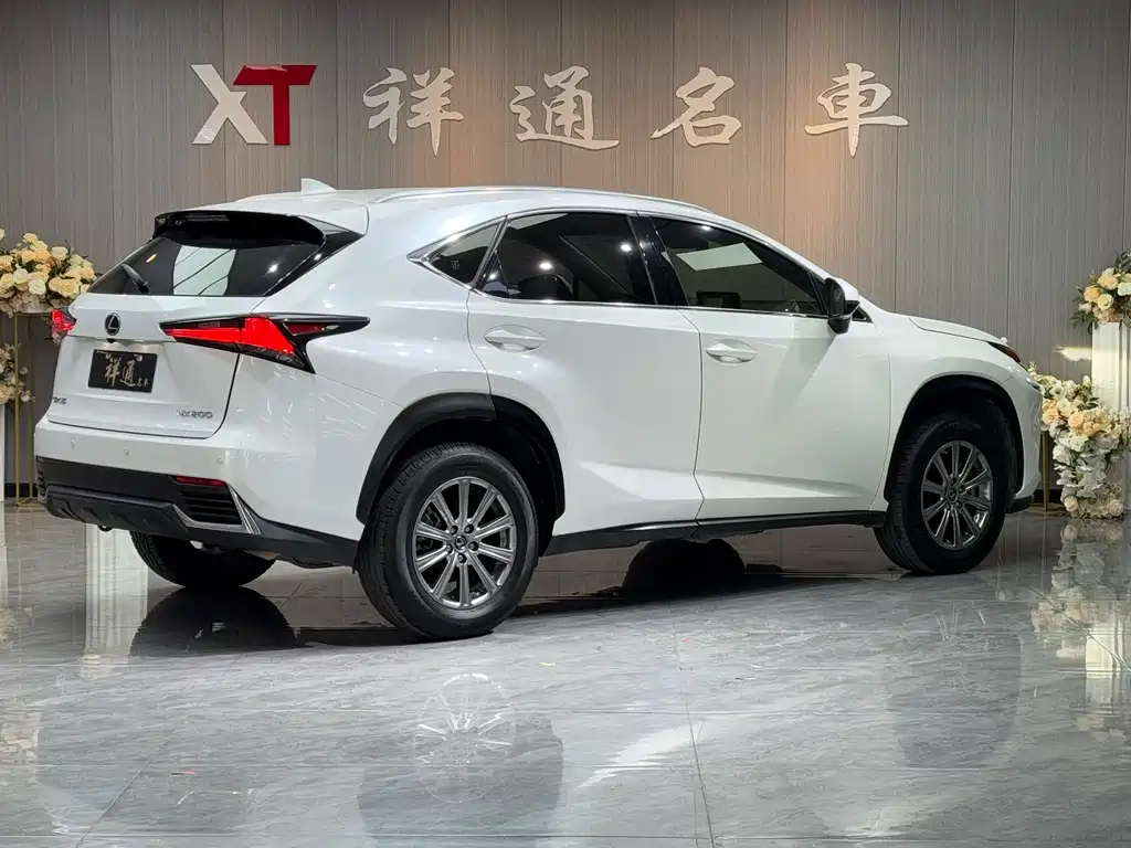 Lexus Lexus NX 200 F Sport AWD 2020 Model VI 2019 - thumbnail 10