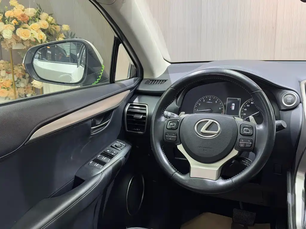Lexus Lexus NX 200 F Sport AWD 2020 Model VI 2019 - thumbnail 17