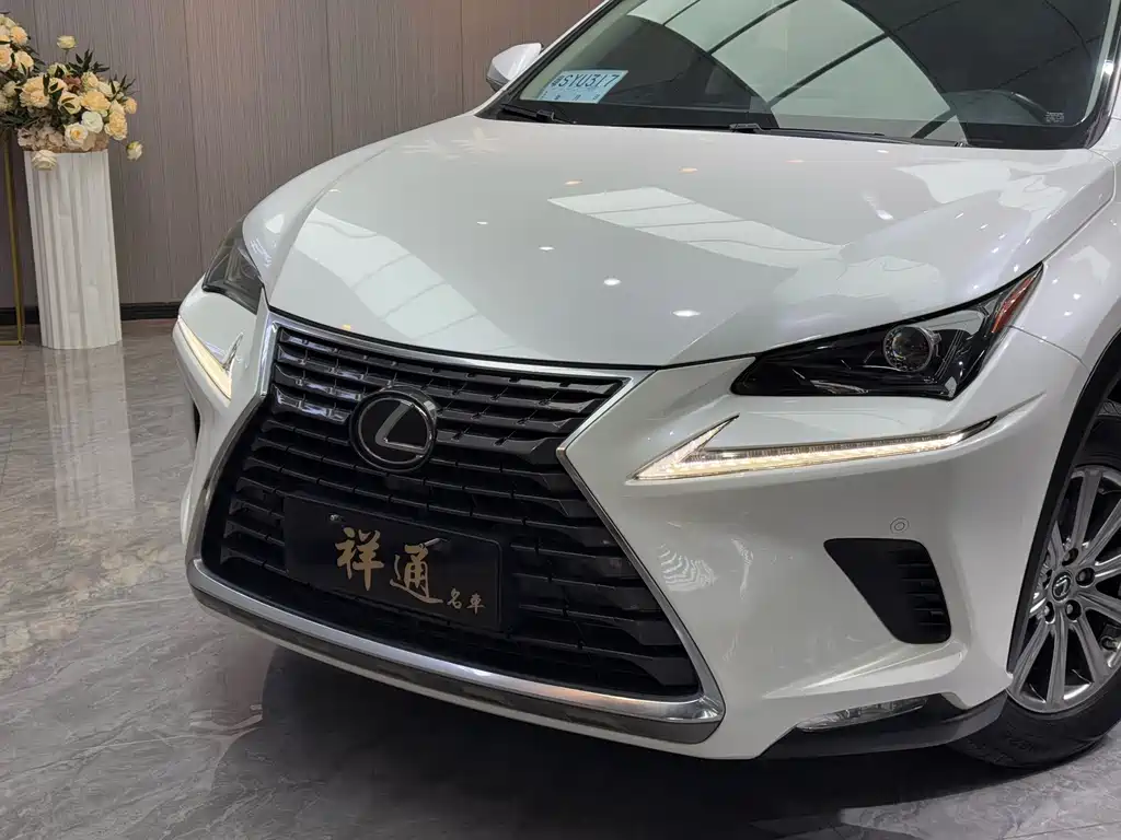 Lexus Lexus NX 200 F Sport AWD 2020 Model VI 2019 - thumbnail 28
