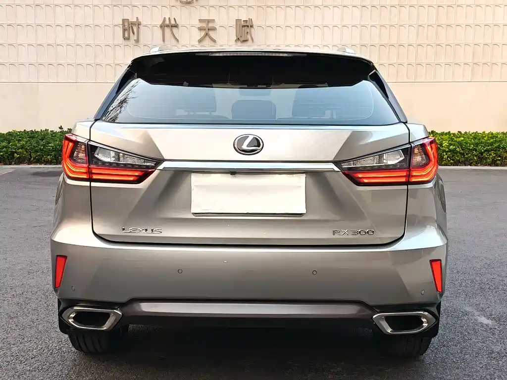 Lexus Lexus RX 300 2016 FWD Comfort Edition国VI 2019 - thumbnail 3
