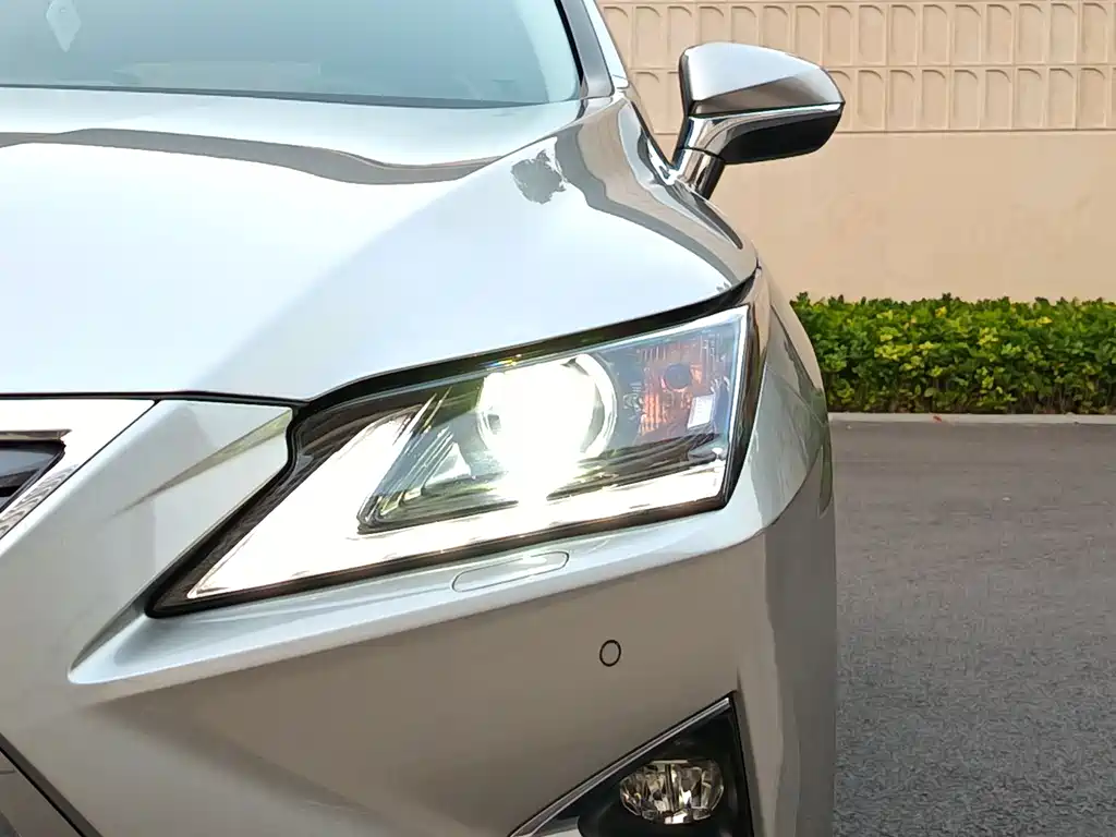 Lexus Lexus RX 300 2016 FWD Comfort Edition国VI 2019 - thumbnail 20