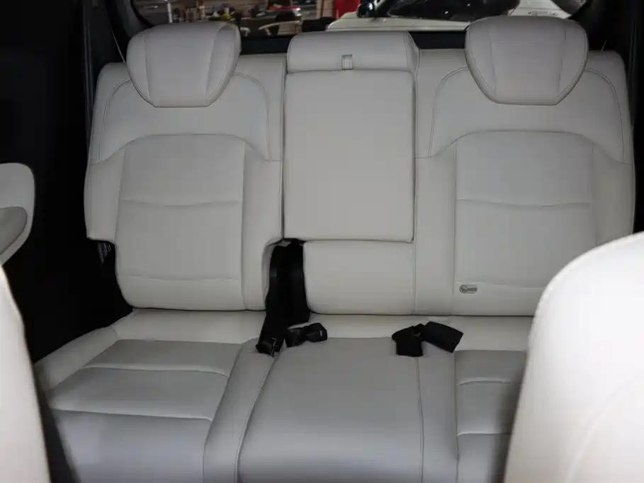 GAC Trumpchi GAC Trumpchi M8 2023 Master Series Hybrid Imperial Edition 2023 - thumbnail 12