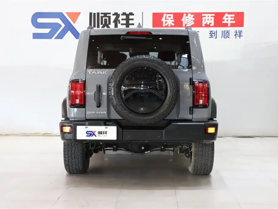Tank Tank 300 2021 Off-road Edition 2.0T Conqueror 2022 - thumbnail 5