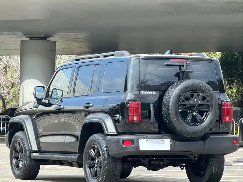 Tank Tank 300 2021 Off-road Edition 2.0T Conqueror 2021 - thumbnail 17