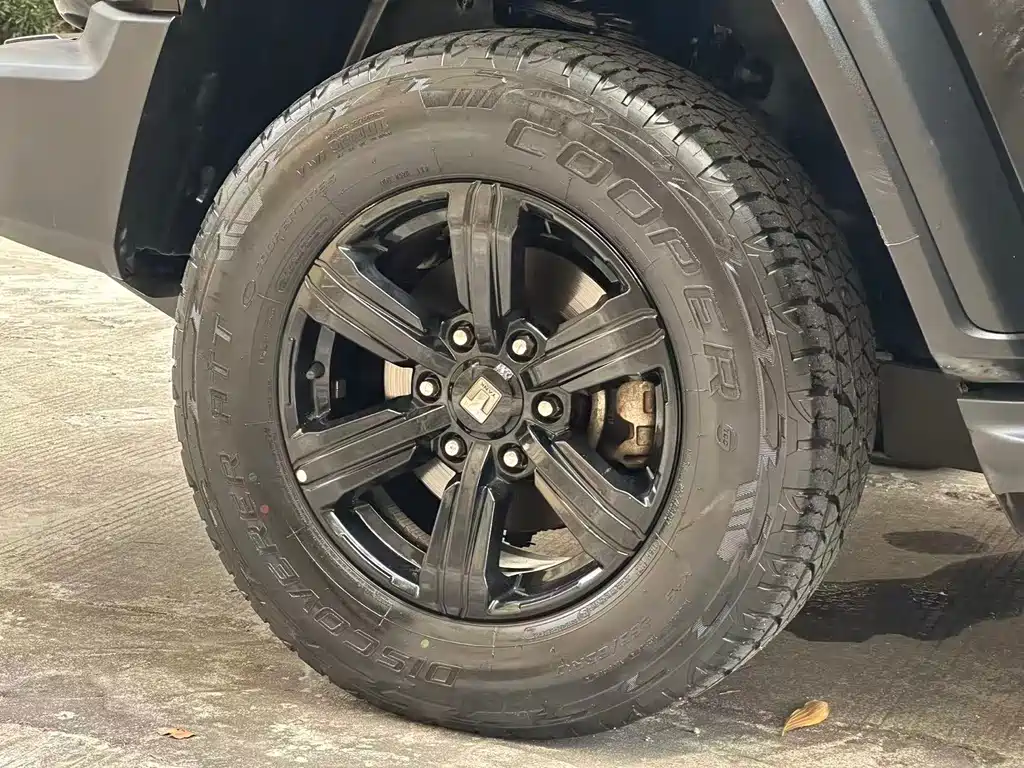Tank Tank 300 2021 Off-road Edition 2.0T Conqueror 2021 - thumbnail 21