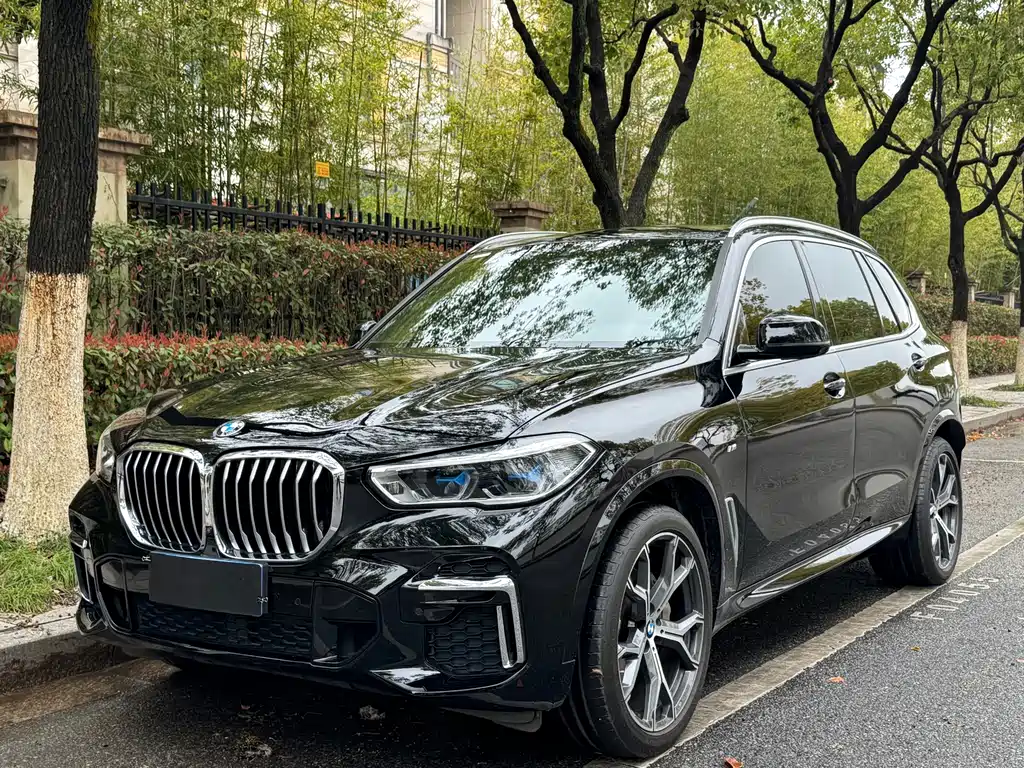 BMW BMW X5 xDrive 40Li M Sport Package 2022 Model Year 2023