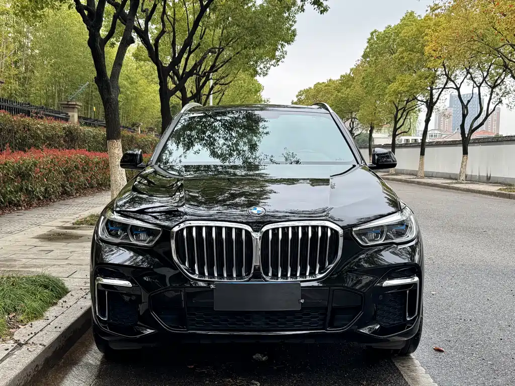 BMW BMW X5 xDrive 40Li M Sport Package 2022 Model Year 2023 - thumbnail 2