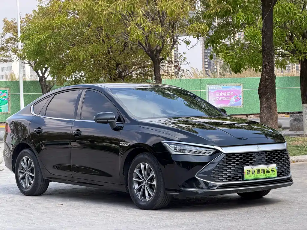 BYD BYD Qin PLUS 2024 Glory Edition DM-i 55KM Leading Model 2024 - thumbnail 2