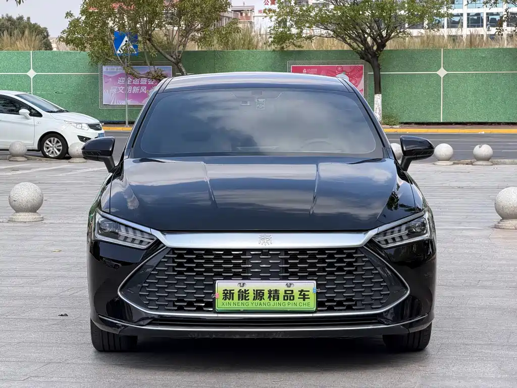 BYD BYD Qin PLUS 2024 Glory Edition DM-i 55KM Leading Model 2024 - thumbnail 3