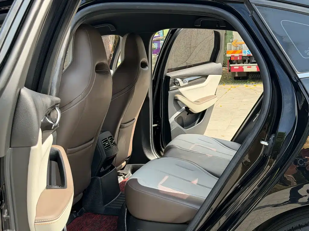 BYD BYD Qin PLUS 2024 Glory Edition DM-i 55KM Leading Model 2024 - thumbnail 11