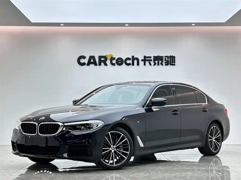 BMW BMW 5 Series 2020 530Li Luxury M Sport Package 2019