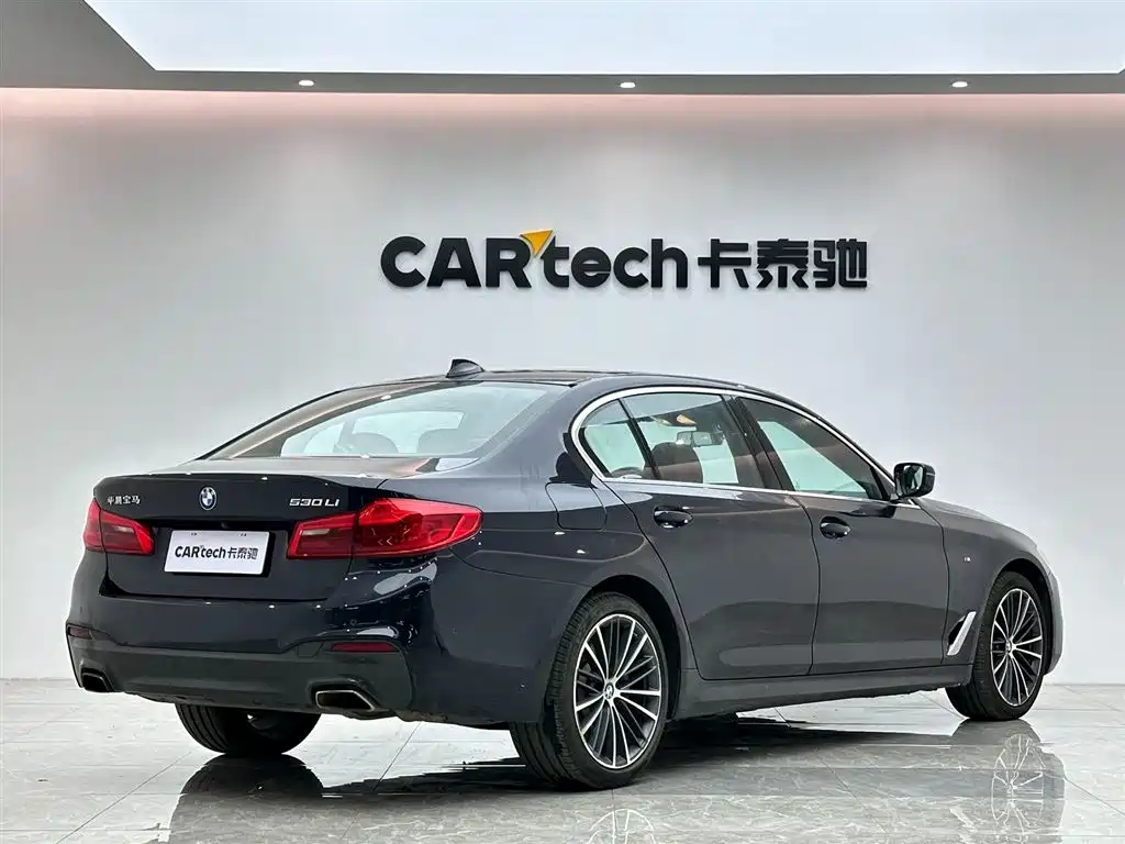 BMW BMW 5 Series 2020 530Li Luxury M Sport Package 2019 - thumbnail 5