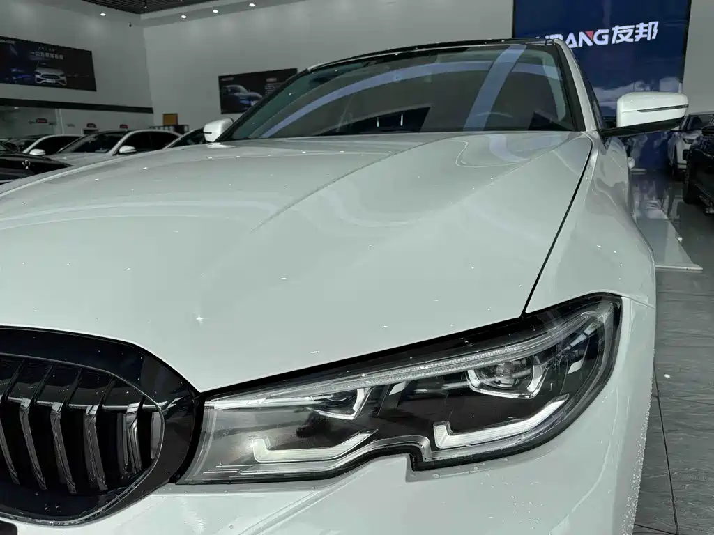 BMW BMW 3 Series 2021 320Li M Sport Package 2020 - thumbnail 17