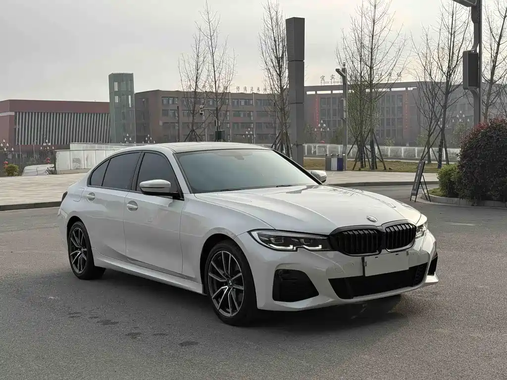 BMW BMW 3 Series 2021 320Li M Sport Package 2020 - thumbnail 20