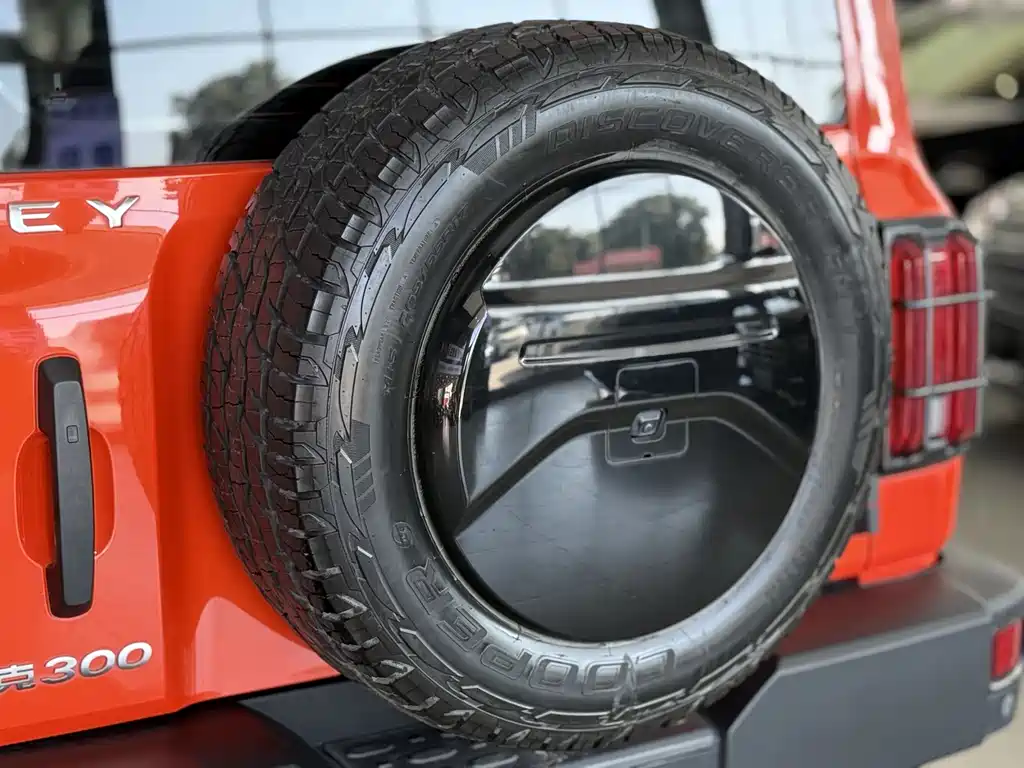 Tank Tank 300 2021 Off-road Edition 2.0T Challenger 2021 - thumbnail 20