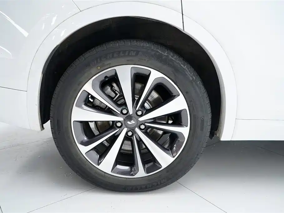 Li Auto Li ONE 2020 Extended-Range 7-Seat Version 2021 - thumbnail 10