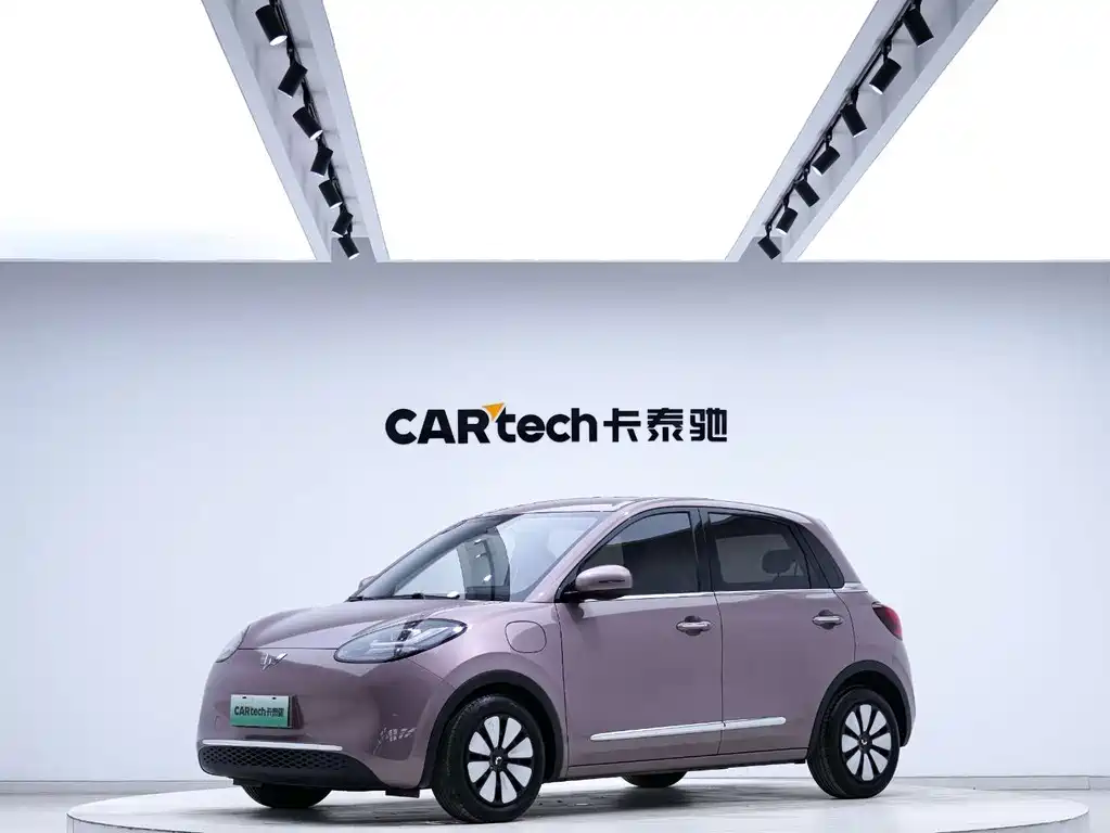Wuling Motors Wuling Binguo 2023 333km Yue Xiang Edition 2023