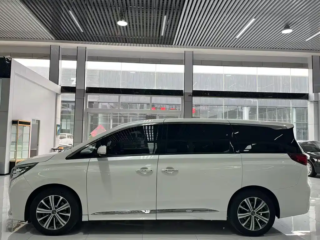 GAC Trumpchi GAC Trumpchi M8 2021 Edition Leader Series 390T Premium Version 2020 - thumbnail 3