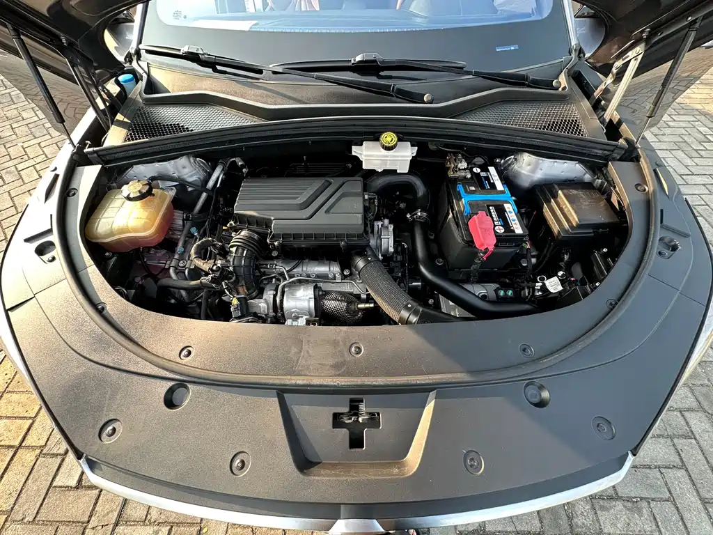 BYD BYD Song PLUS 2020 1.5T Automatic Flagship PLUS 2021 - thumbnail 25