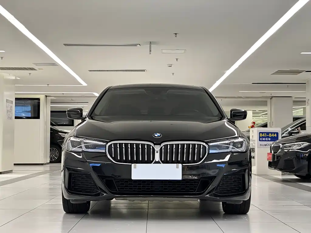 BMW BMW 5 Series 2020 530Li Luxury Package 2020 - thumbnail 2