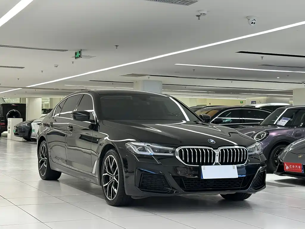 BMW BMW 5 Series 2020 530Li Luxury Package 2020 - thumbnail 3