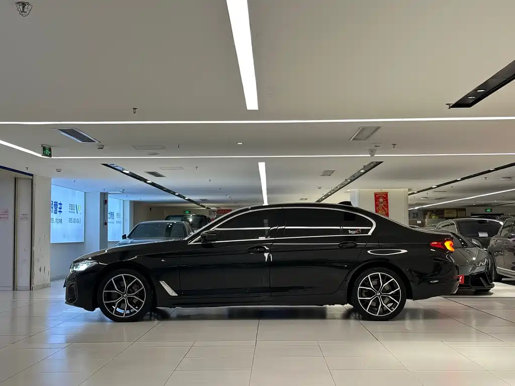 BMW BMW 5 Series 2020 530Li Luxury Package 2020 - thumbnail 4