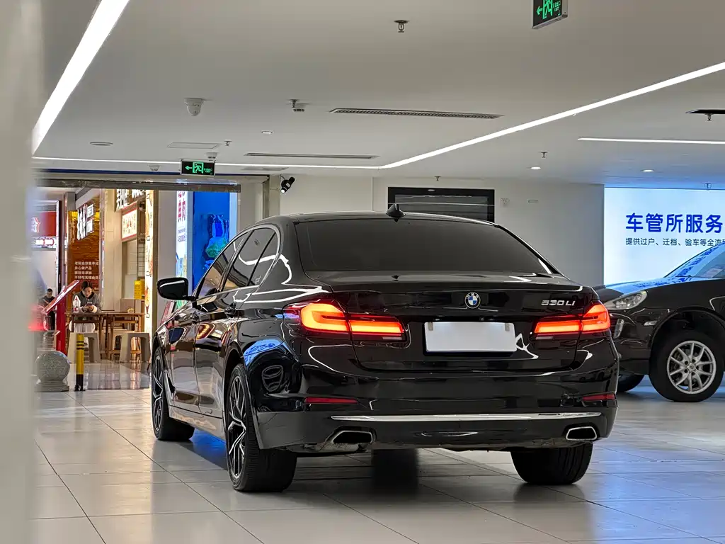 BMW BMW 5 Series 2020 530Li Luxury Package 2020 - thumbnail 5