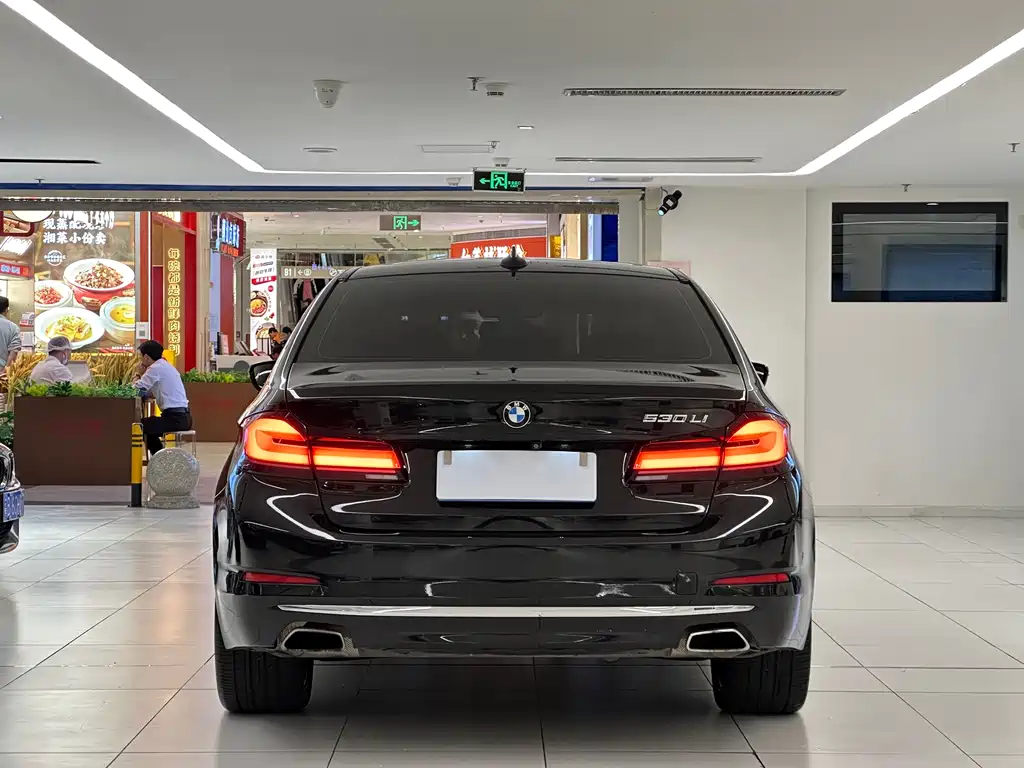 BMW BMW 5 Series 2020 530Li Luxury Package 2020 - thumbnail 6