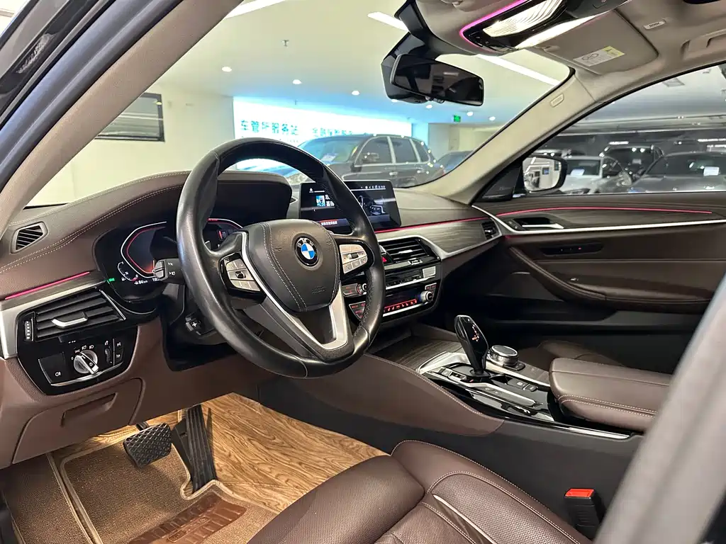 BMW BMW 5 Series 2020 530Li Luxury Package 2020 - thumbnail 10