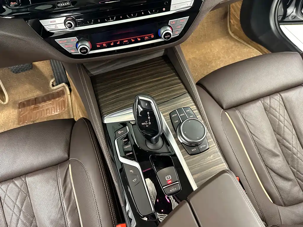BMW BMW 5 Series 2020 530Li Luxury Package 2020 - thumbnail 20