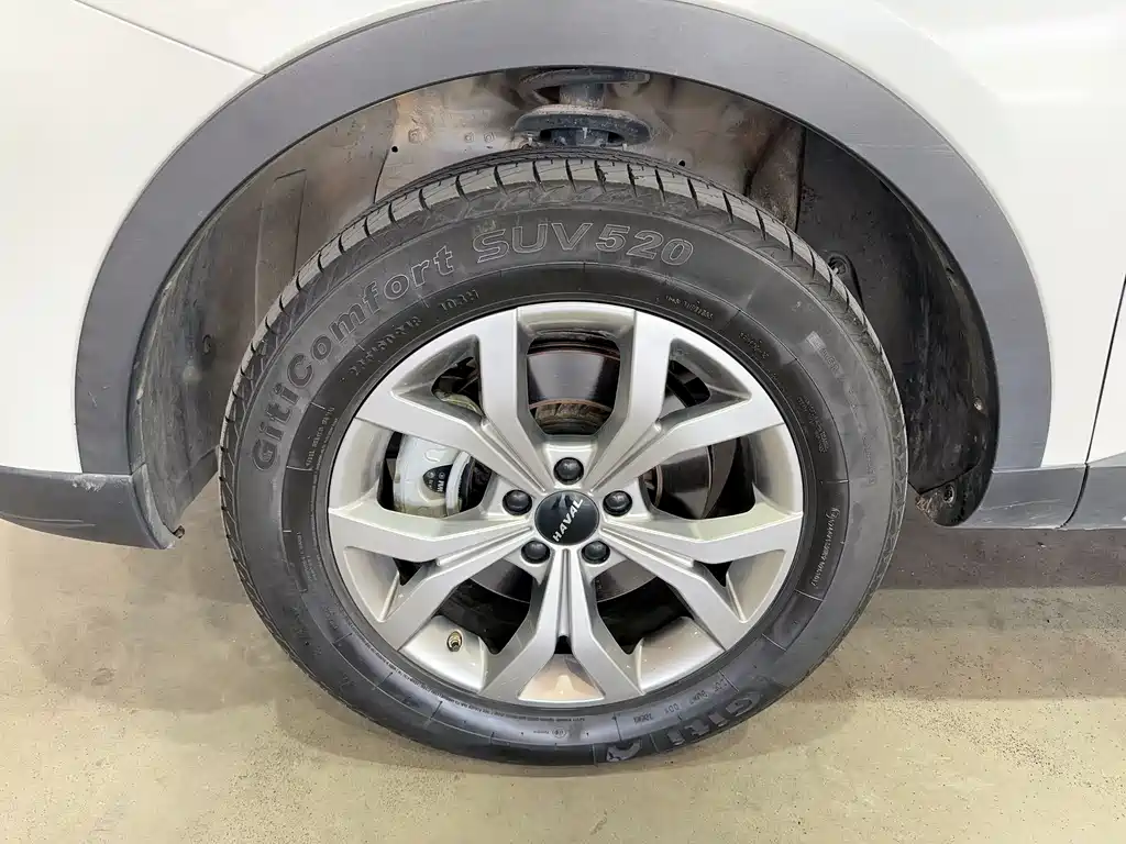Haval Haval H6 2021 Guochao Edition 2.0GDIT Automatic Champion Edition 2022 - thumbnail 14