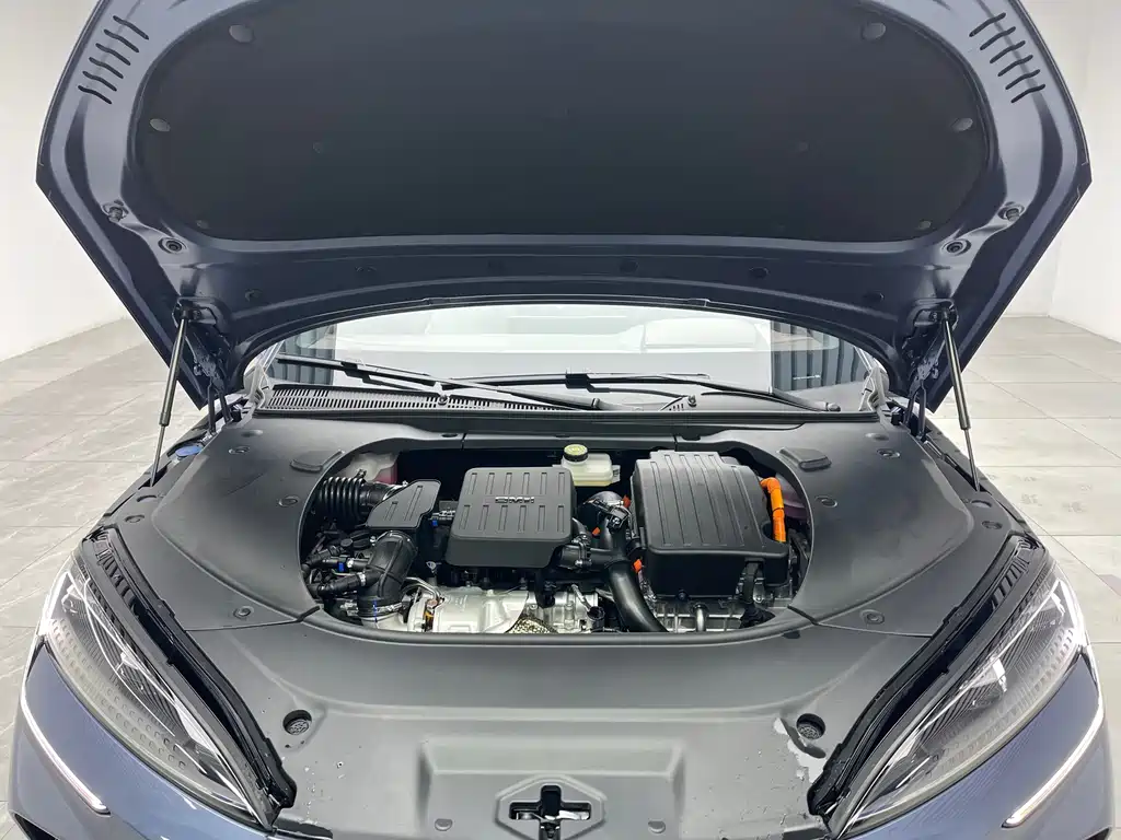 BYD BYD Seal 2023 DM-i 1.5T 121km Flagship Model 2025 - thumbnail 9