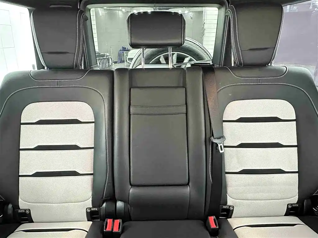 Mercedes-Benz Mercedes-Benz G-Class AMG 2019 Facelift AMG G 63 Pioneer Special Edition 2019 - thumbnail 29