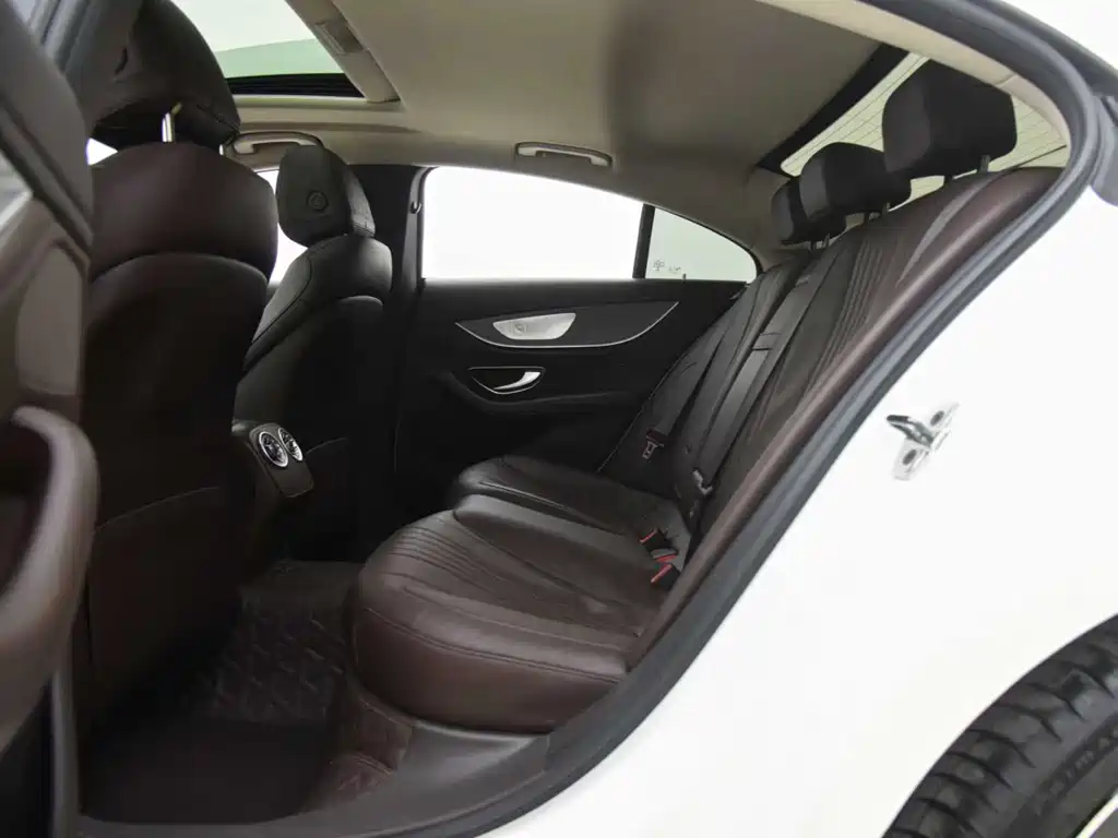 Mercedes-Benz Mercedes-Benz CLS 2021 CLS 300 Luxury 2021 - thumbnail 11