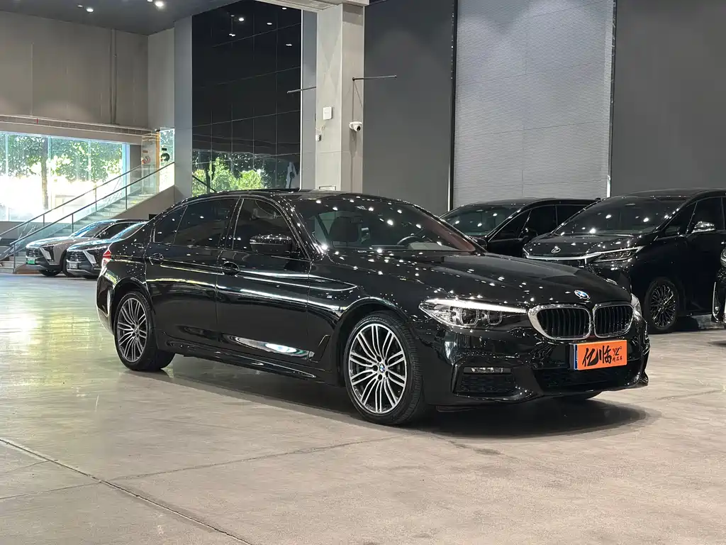 BMW BMW 5 Series 2019 530Li Leading Model M Sport Package 2019 - thumbnail 2