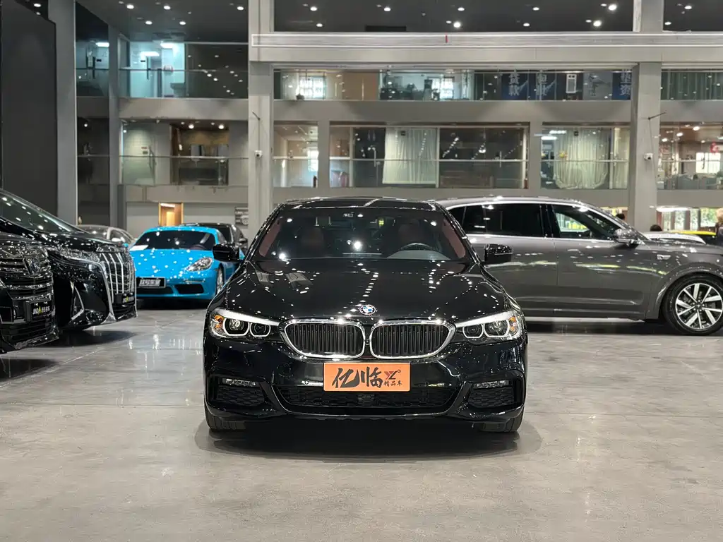 BMW BMW 5 Series 2019 530Li Leading Model M Sport Package 2019 - thumbnail 3