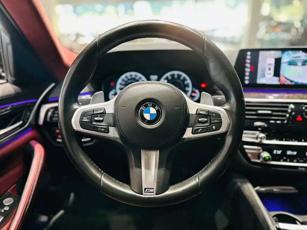 BMW BMW 5 Series 2019 530Li Leading Model M Sport Package 2019 - thumbnail 10