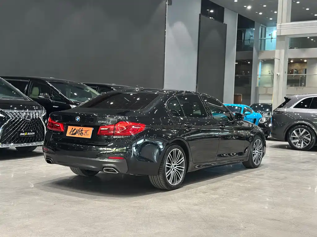 BMW BMW 5 Series 2019 530Li Leading Model M Sport Package 2019 - thumbnail 13