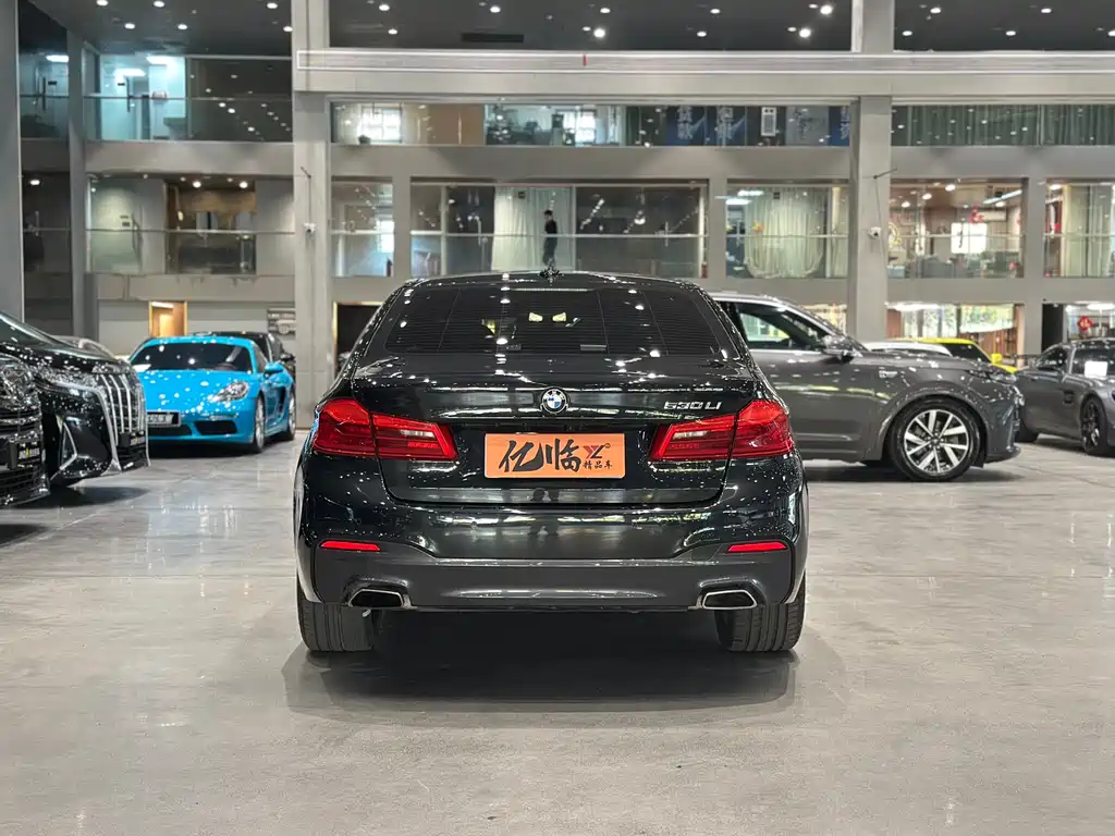 BMW BMW 5 Series 2019 530Li Leading Model M Sport Package 2019 - thumbnail 15