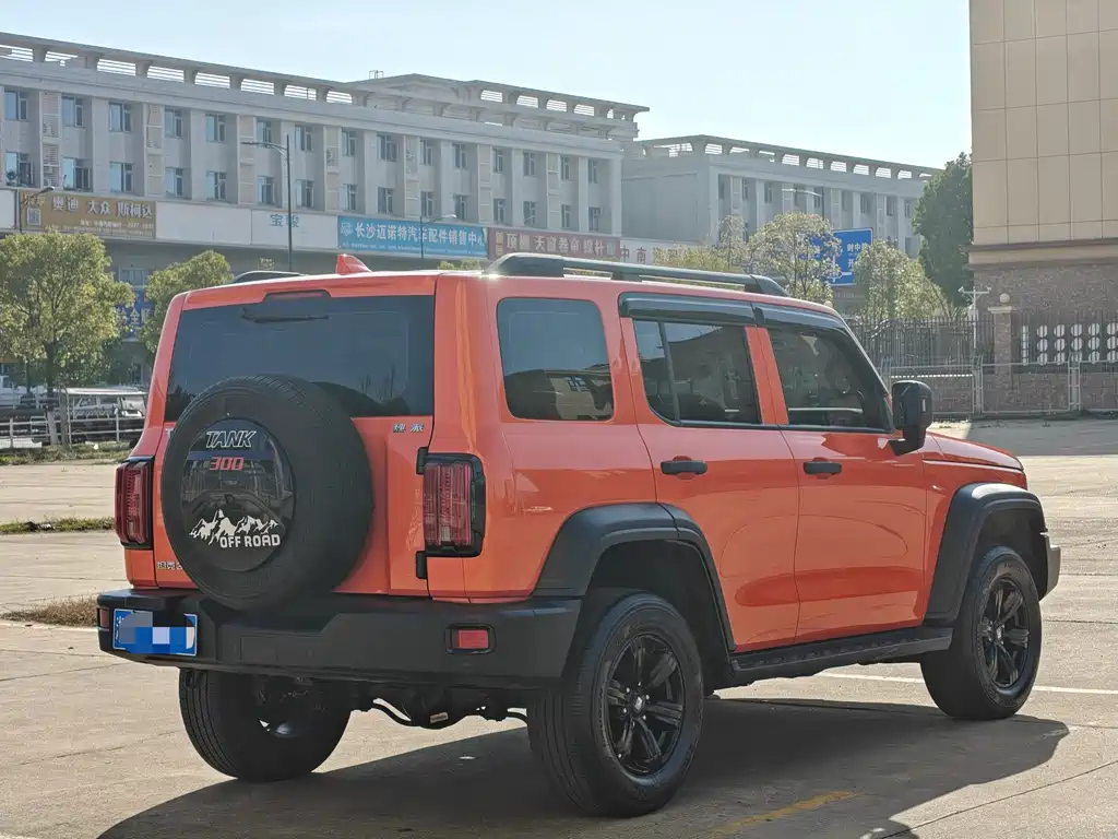 Tank Tank 300 2021 Off-road Edition 2.0T Conqueror 2021 - thumbnail 4