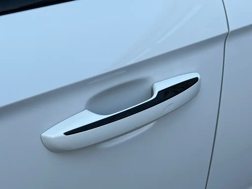 Geely Auto Geely Starray 2024 2.0TD Qingyun Edition 2024 - thumbnail 9