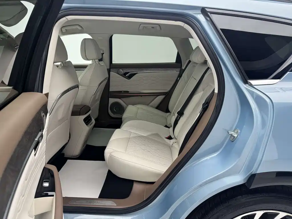 Lantu Auto Lantu FREE 2021 Model AWD Standard Range Extended Luxury Package 2021 - thumbnail 12